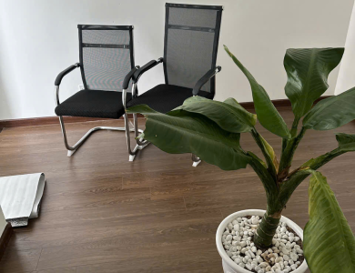 Chuyển vp cho công ty Bất động sản