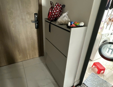 Chuyển nhà và kho cho Khách từ chung cư Emerald tân Phú về Tân Bình